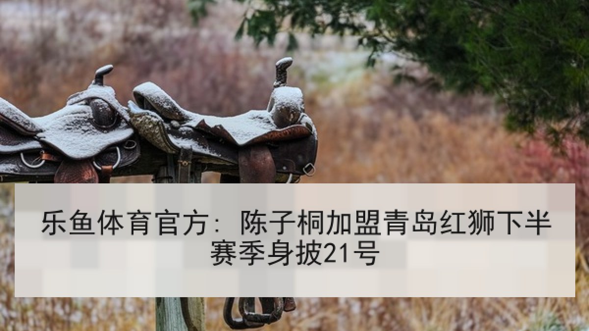 乐鱼体育官方: 陈子桐加盟青岛红狮下半赛季身披21号 乐鱼体育官方: 陈子桐加盟青岛红狮下半赛季身披21号