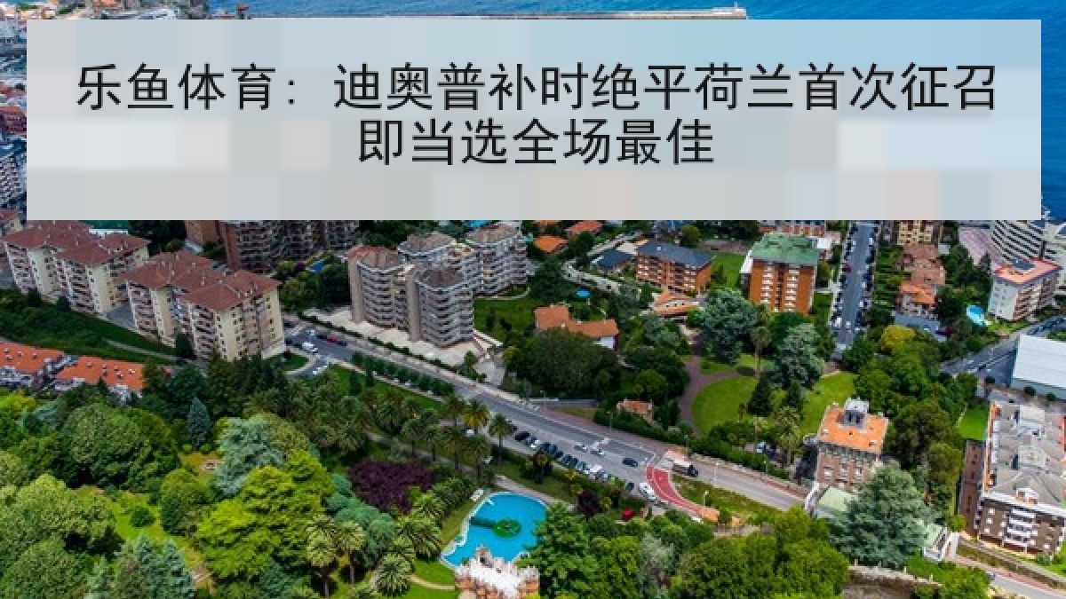 乐鱼体育: 迪奥普补时绝平荷兰首次征召即当选全场最佳 乐鱼体育: 迪奥普补时绝平荷兰首次征召即当选全场最佳