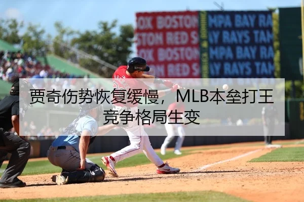 贾奇伤势恢复缓慢，MLB本垒打王竞争格局生变