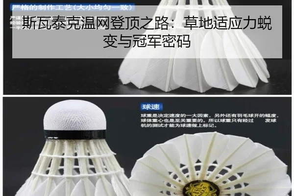 斯瓦泰克温网登顶之路：草地适应力蜕变与冠军密码